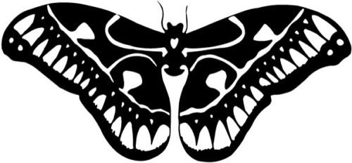 Butterfly A28 Vinyl Decal Sticker for Car Window, Wall, Laptop, MacBook - Waterproof Die-Cut Decal for Cars, Trucks, Toolboxes & Smooth Surfaces - Perfect for Home Decor, Vehicle Customization & Personalizing Devices