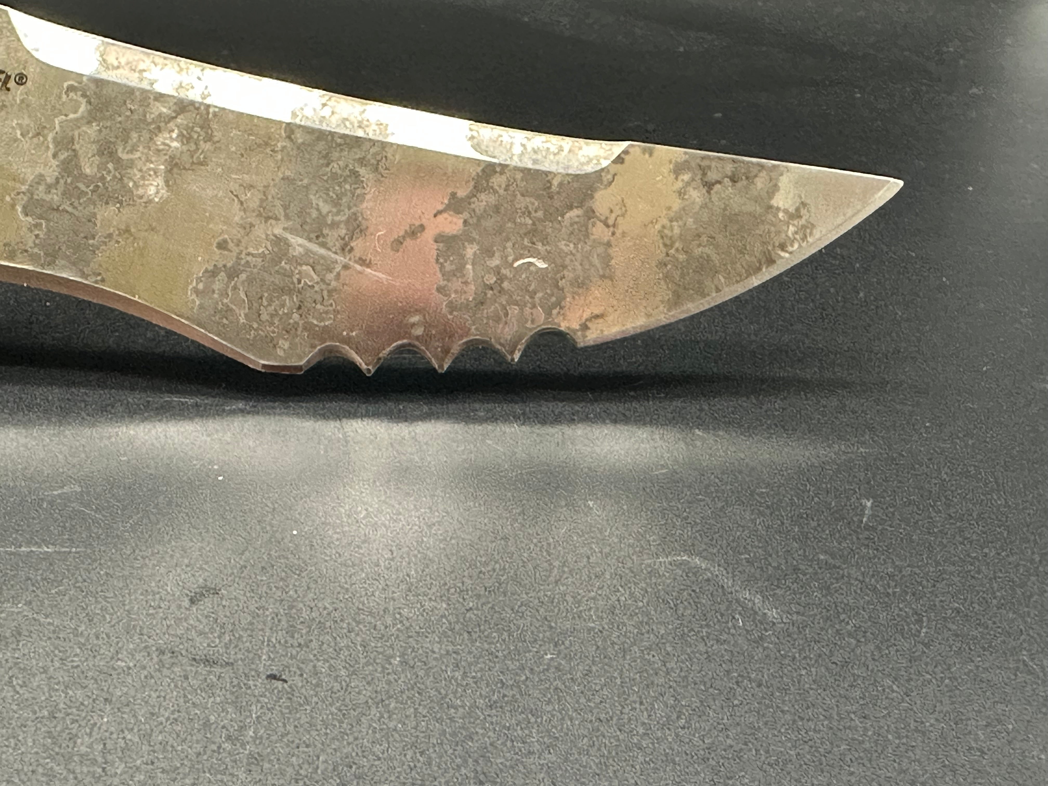 Cold Steel Talwar 5.5