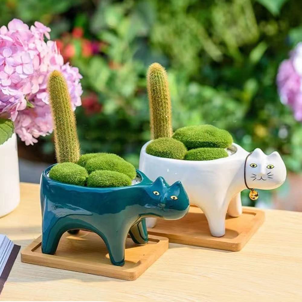 123Arts Ceramic Cat Planter - Cute Succulent & Flower Pot with Drainage Hole - Perfect for Home Decor, Office Desk, Garden & Gift Giving