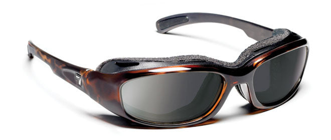 Gloss Black-Grey Lens