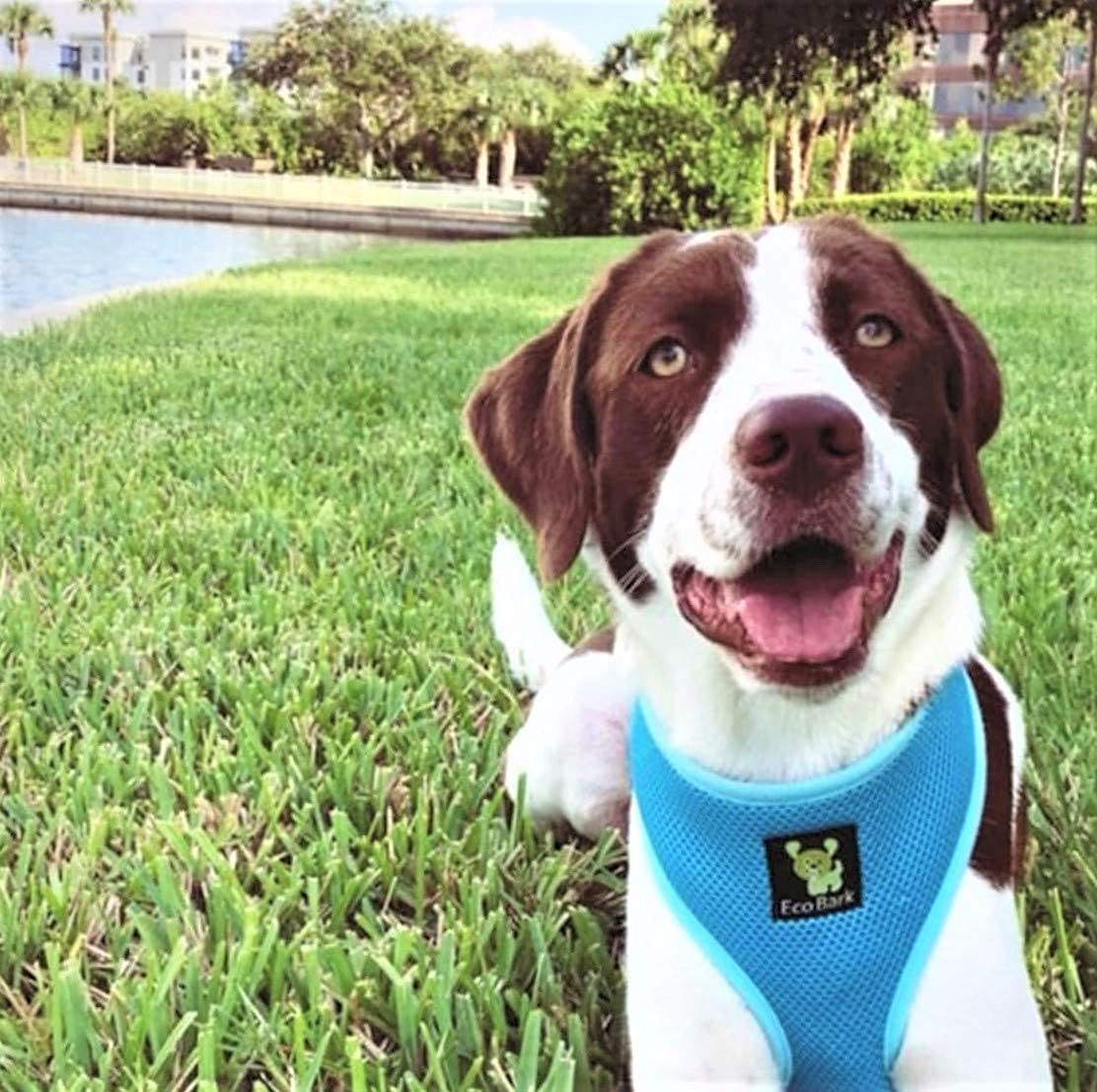 EcoBark No Pull Dog Harness - Eco-Friendly Comfortable Soft Mesh Vest for Puppies, Small & Medium Dogs - Adjustable Overhead Design - Large Size Sky Blue - Perfect for Walking, Training & Outdoor Adventures