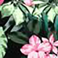 Wine Pink Flower