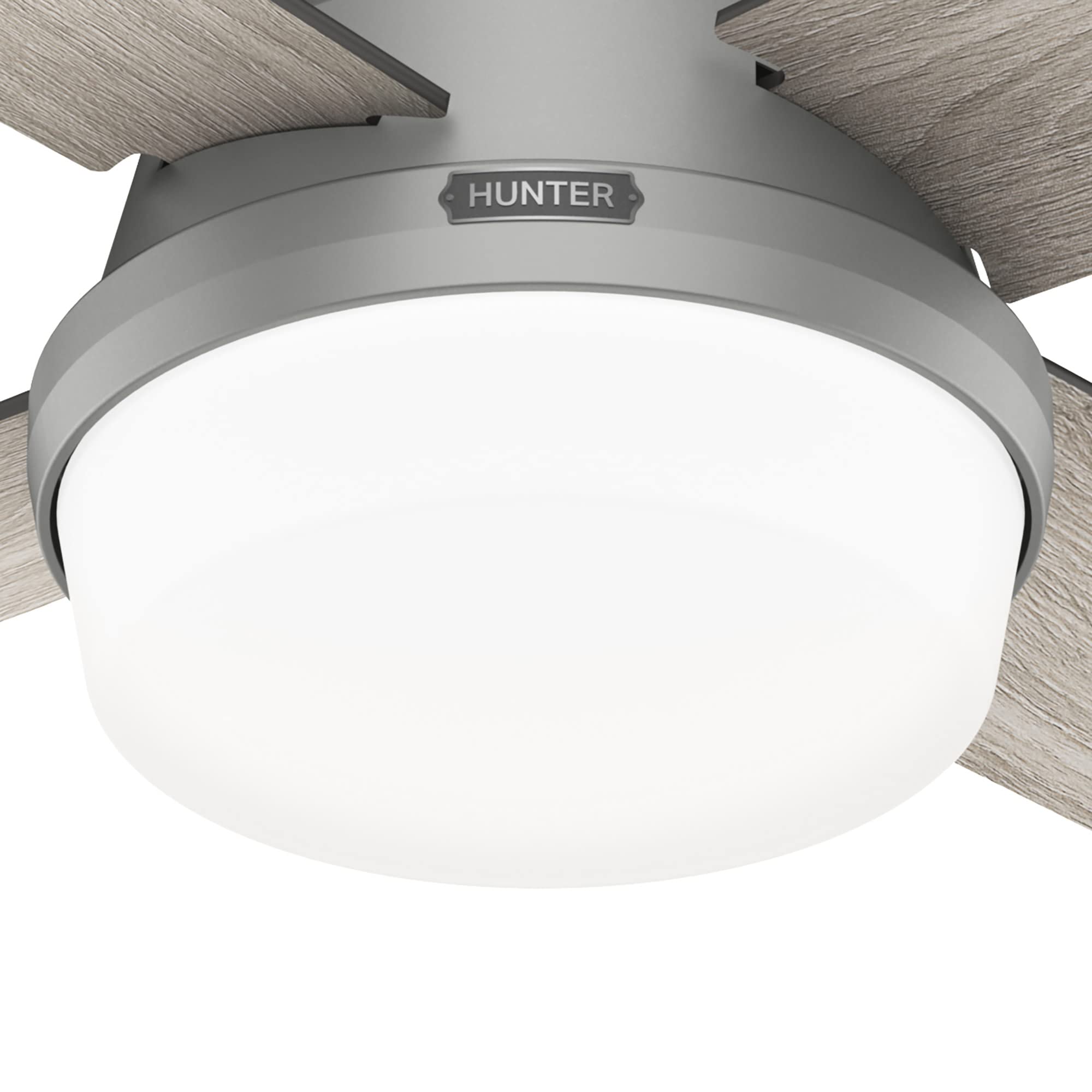 Hunter Fan Company 51757 Dempsey 44-Inch Indoor/Outdoor Ceiling Fan with Light Kit, Brushed Silver Finish - Perfect for Bedroom, Living Room, Patio & Covered Porches