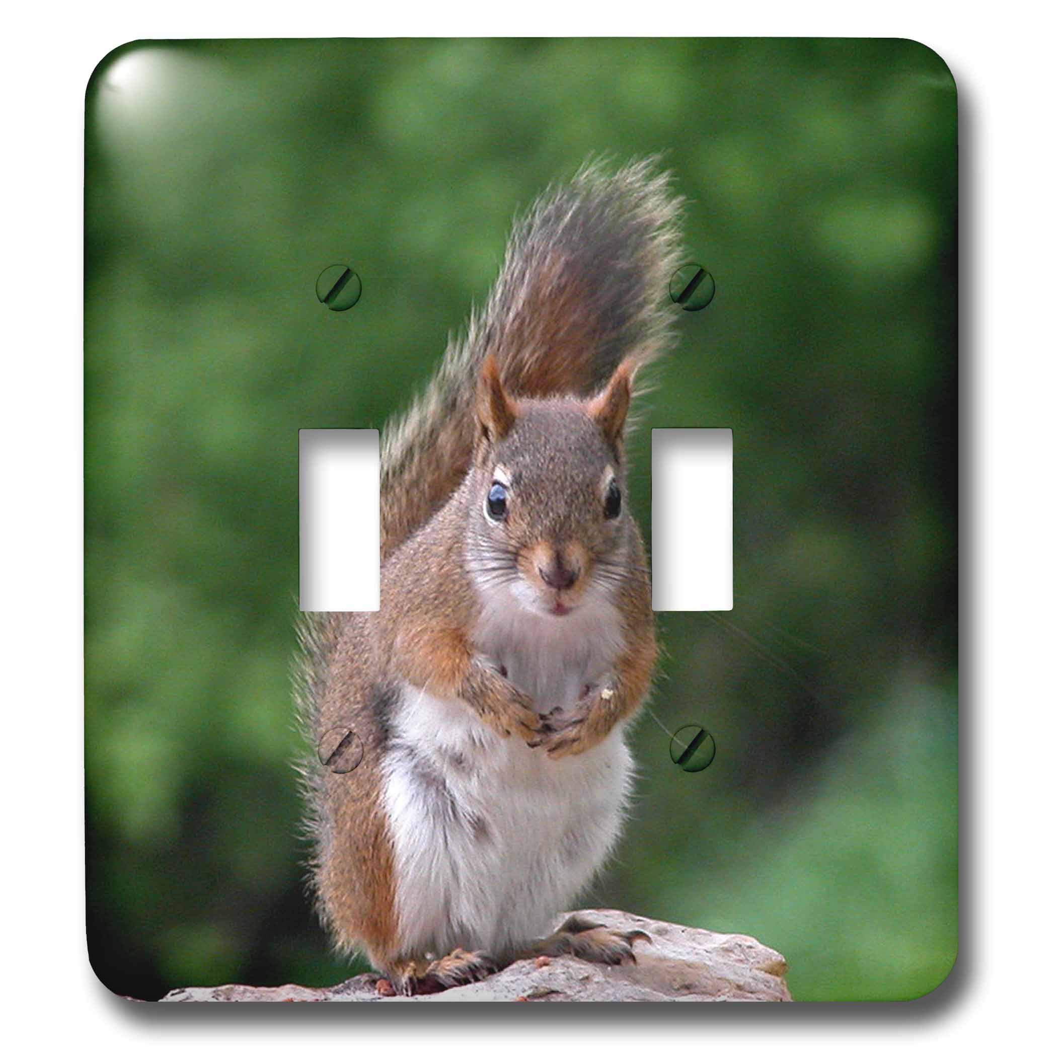 3D Rose LLC Red Squirrel with Attitude Double Toggle Switch Cover Plate - Funny Animal Wall Decor for Home, Office, or Cabin (Model lsp_22427_2)