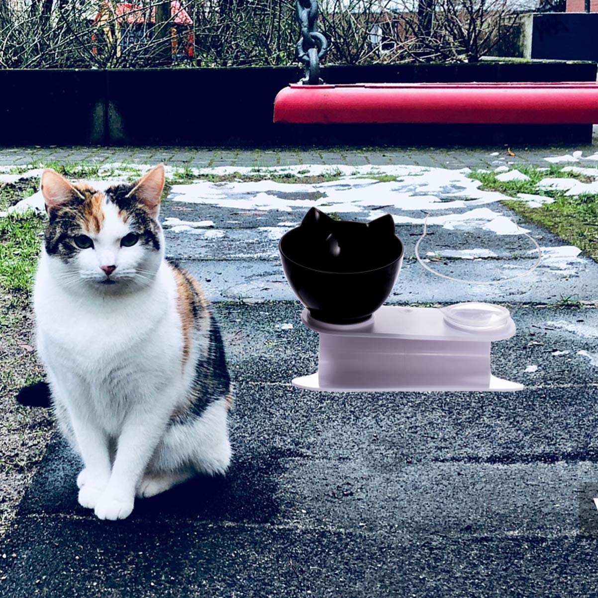 VOSAREA Elevated Double Pet Bowls for Dogs and Cats - Tilted Raised Food & Water Feeder with Stand - Stress-Free Eating for Small Dogs, Puppies & Kittens - Perfect for Home, Travel, and Outdoor Use