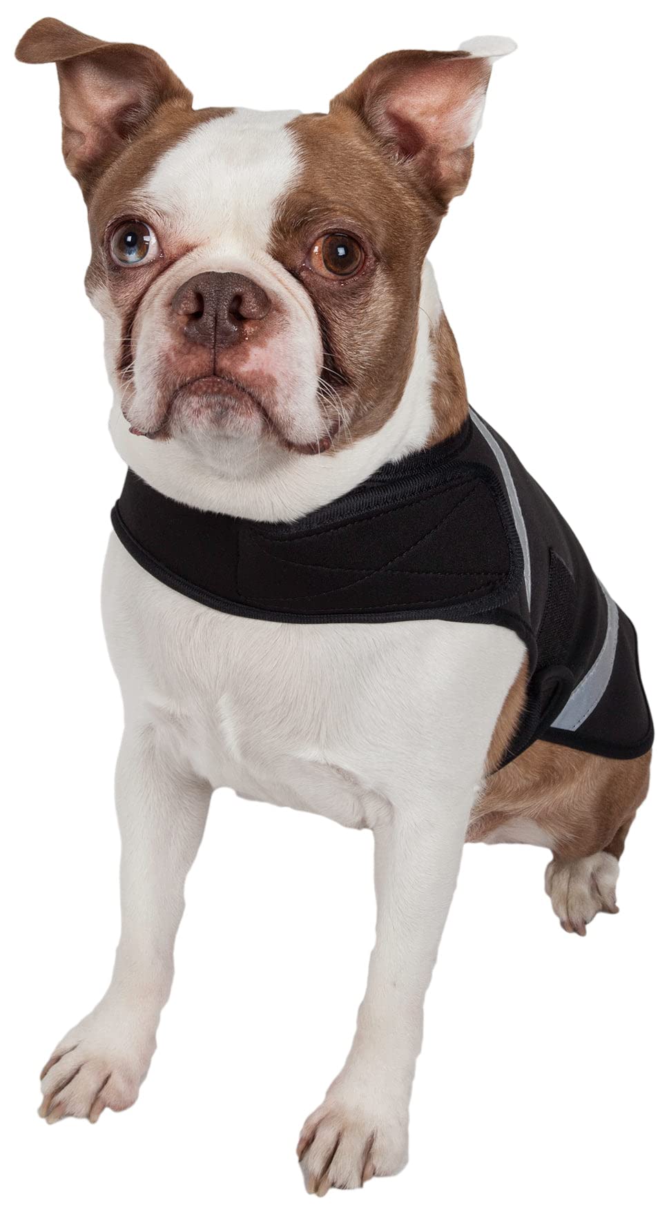 Extreme Softshell Neoprene Dog Coat with Reflective Taping - Waterproof Dog Jacket & Rash Guard for Small, Medium & Large Dogs - Perfect for Winter Walks, Outdoor Adventures & Water Activities