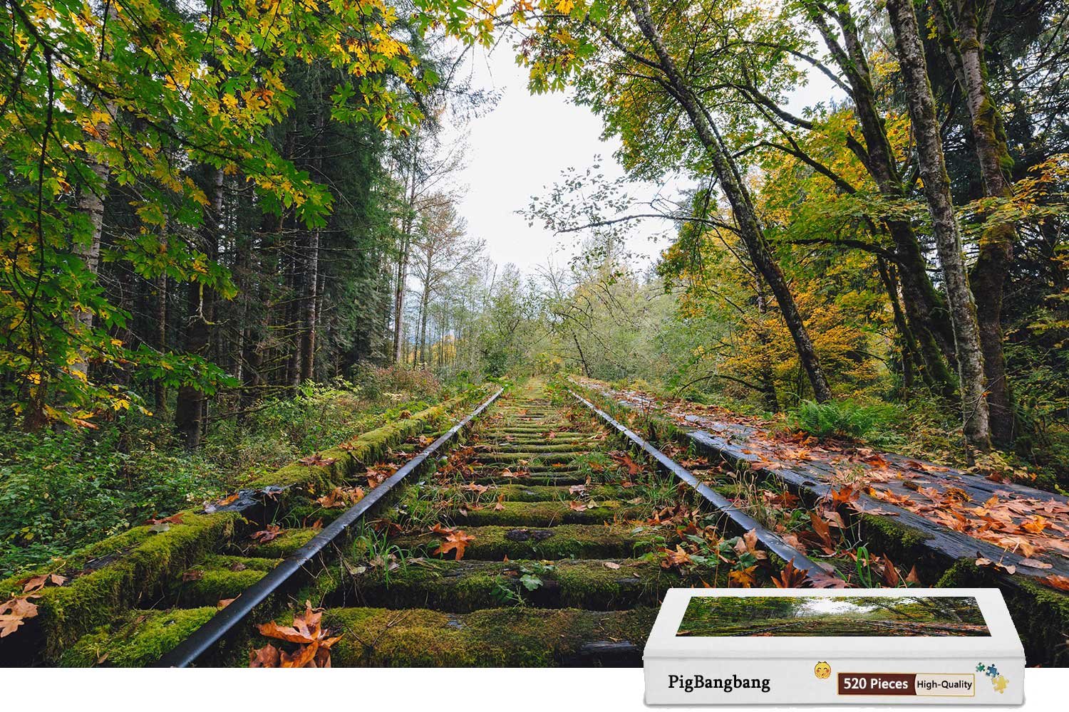 Premium 300-Piece Wooden Jigsaw Puzzle - Handmade Railway Trees Moss Autumn Scenery - Challenging Puzzle for Adults & Teens (20.6