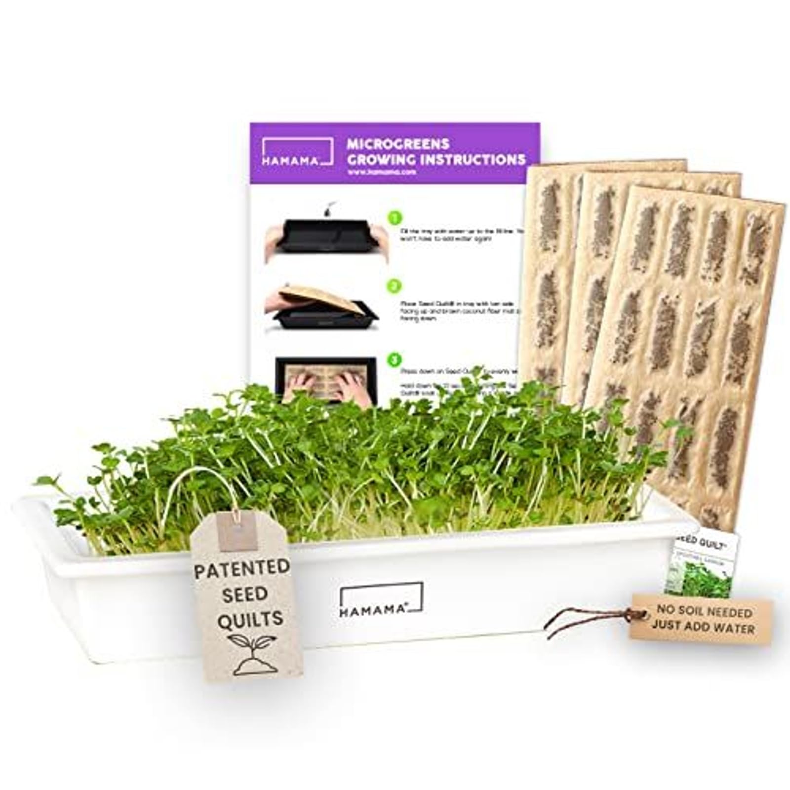 Organic HAMAMA Microgreens Growing Kit - Includes Kale, Broccoli & Salad Greens - Indoor Sprouting System with Seed Quilts & Ceramic Tray - Easy Setup for Home Gardening (Pack of 3) - Perfect for Salads, Smoothies & Healthy Eating