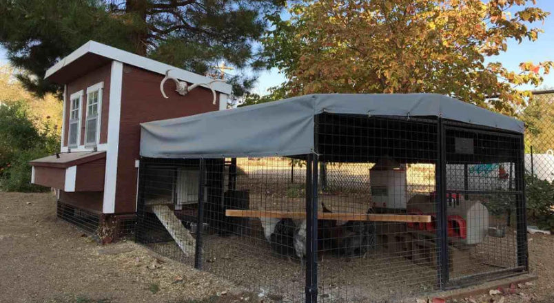OverEZ 8-Foot Steel Chicken Coop Run - Durable & Spacious Poultry Pen for Backyard Chickens - Perfect for Free-Range, Grazing, and Outdoor Chicken Keeping