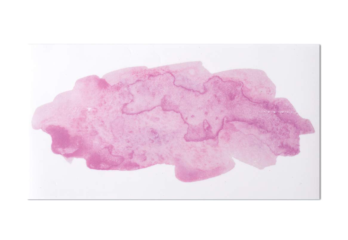 Rayher Wax Motif - Watercolor Rose Stencil (9 x 16.9 cm) for DIY Candle Making, Soap Crafting & Home Decor Projects