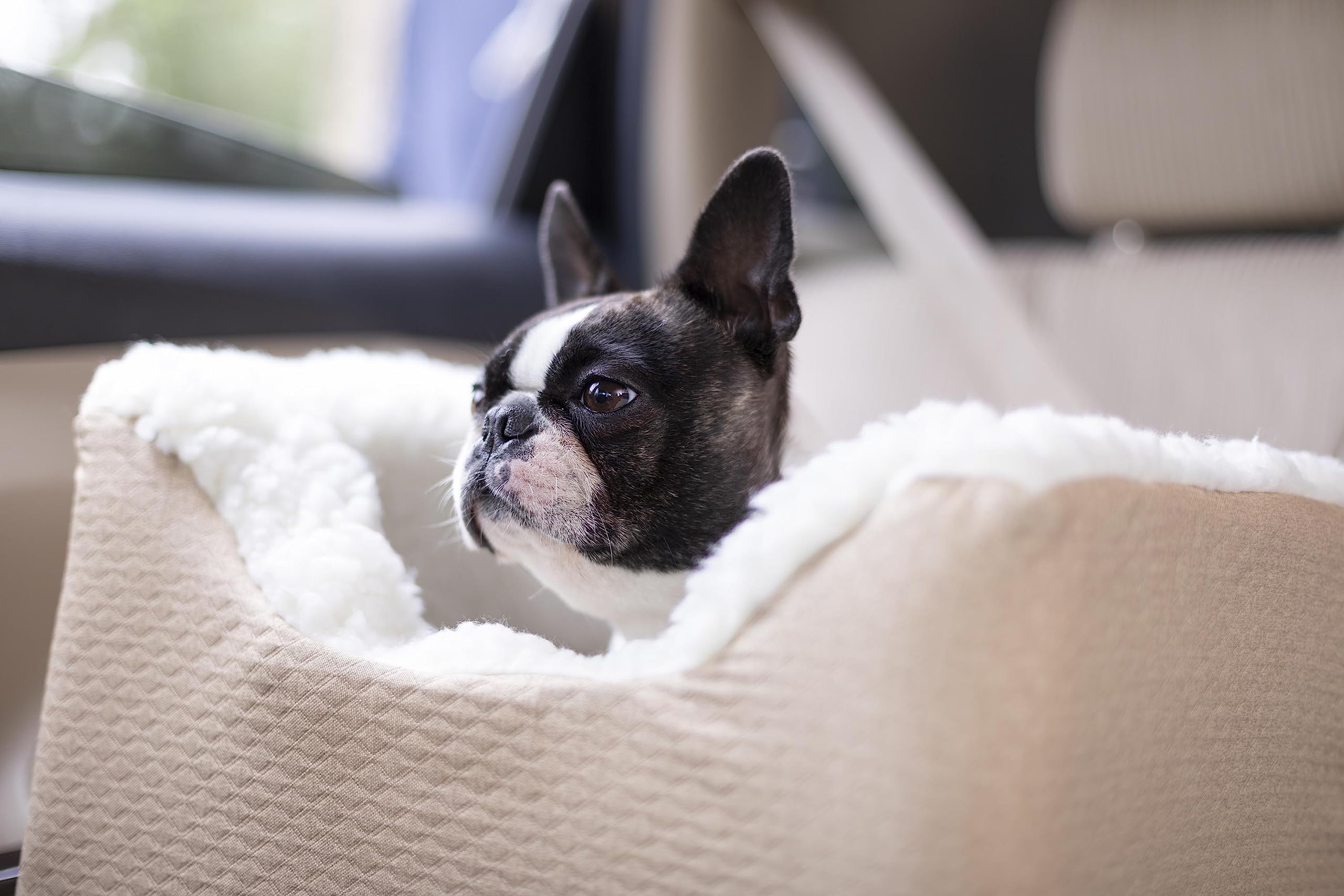 Snoozer Lookout Dog Booster Car Seat for Small Dogs 5-15 lbs - Birch Diamond Fabric - Pet Travel Safety Seat to Prevent Car Sickness - Removable & Machine Washable Cover - Perfect for Road Trips & Vet Visits