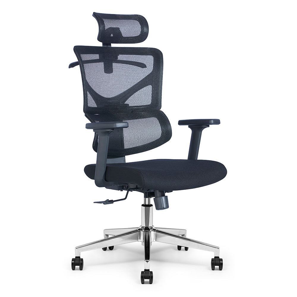 Premium BIRGER Executive Office Chair with Adjustable Headrest - Ergonomic High Back Desk Chair for Home & Office - Black Leather Mesh Computer Task Chair for Long Hours Sitting Comfort