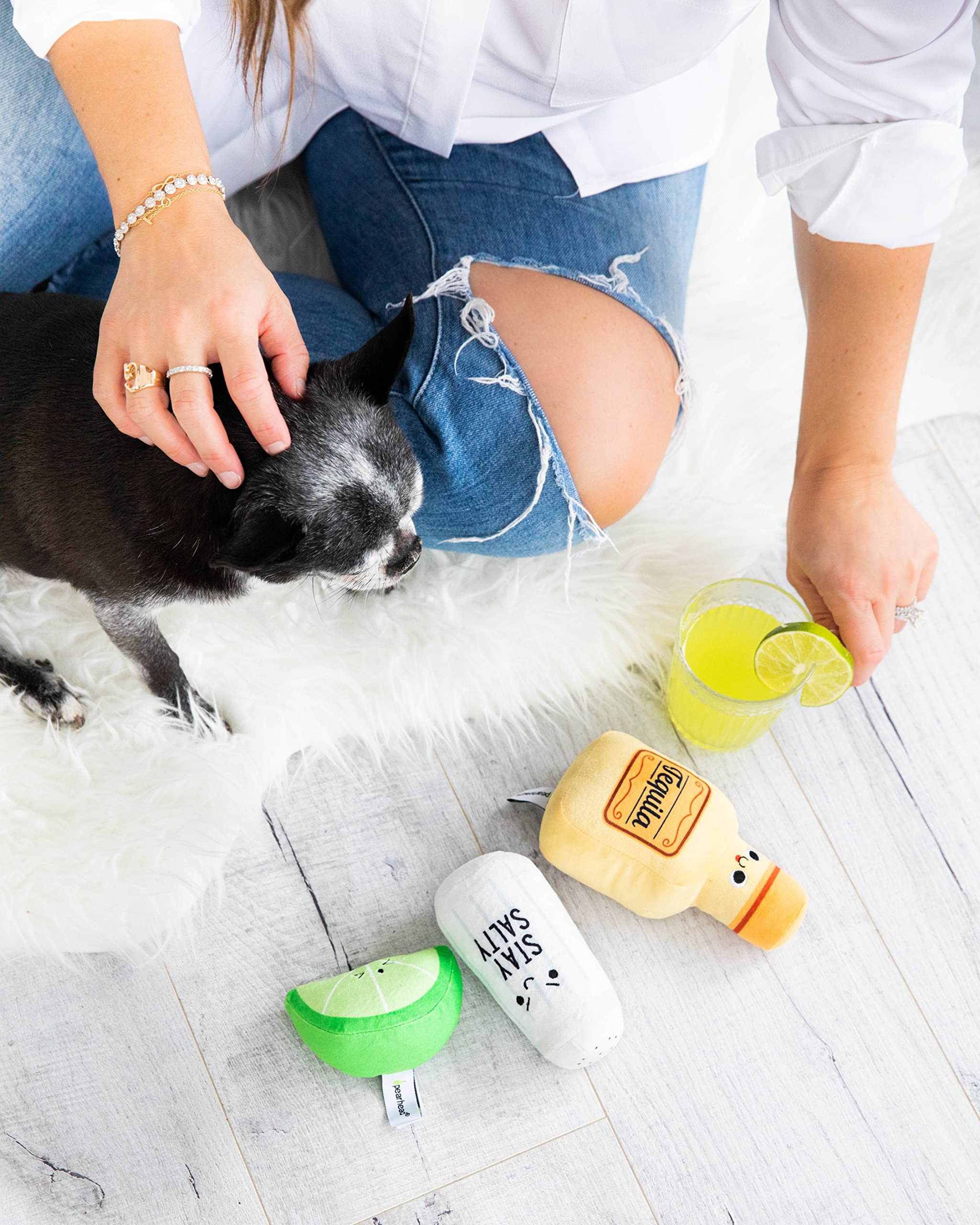 Pearhead Plush Squeaker Dog Toys & Cat Teaser Toys Set - Interactive Pet Play Toys for Dogs and Cats - Perfect for Training, Bonding & Playtime at Home or Outdoors