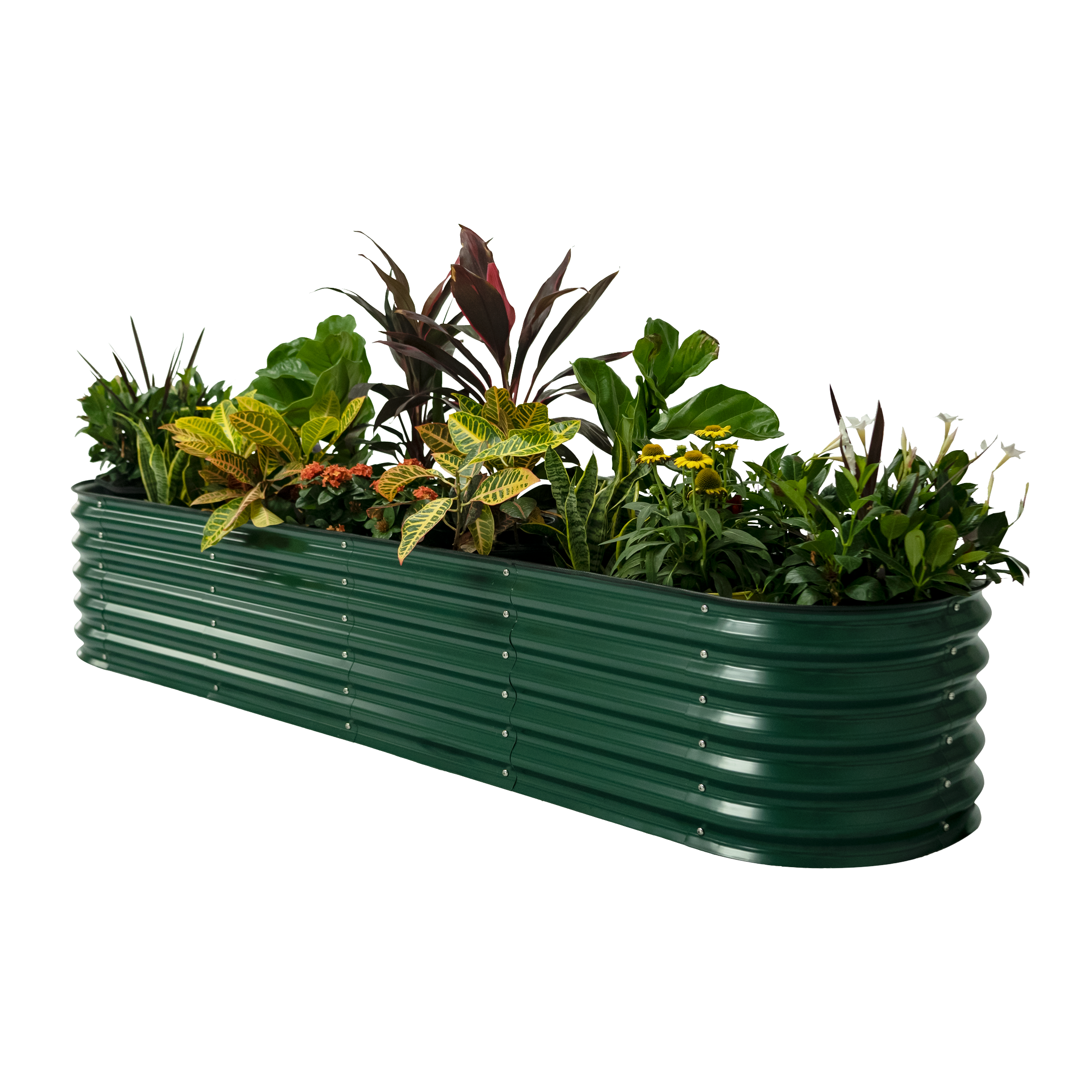 British Green