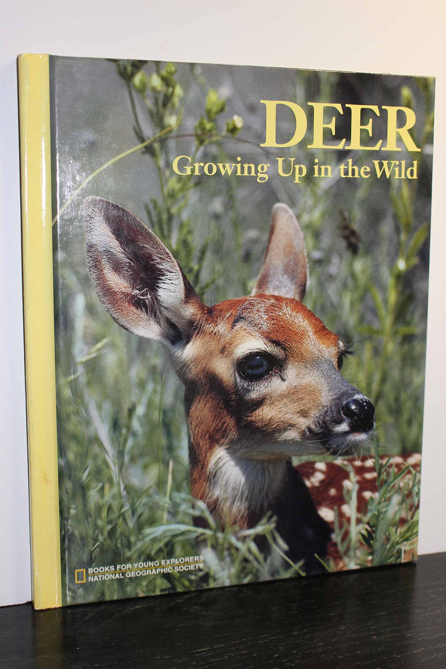 Wild Deer Growth and Habitat - Educational Books for Young Explorers | Perfect for Kids Nature Learning and Outdoor Adventure Stories