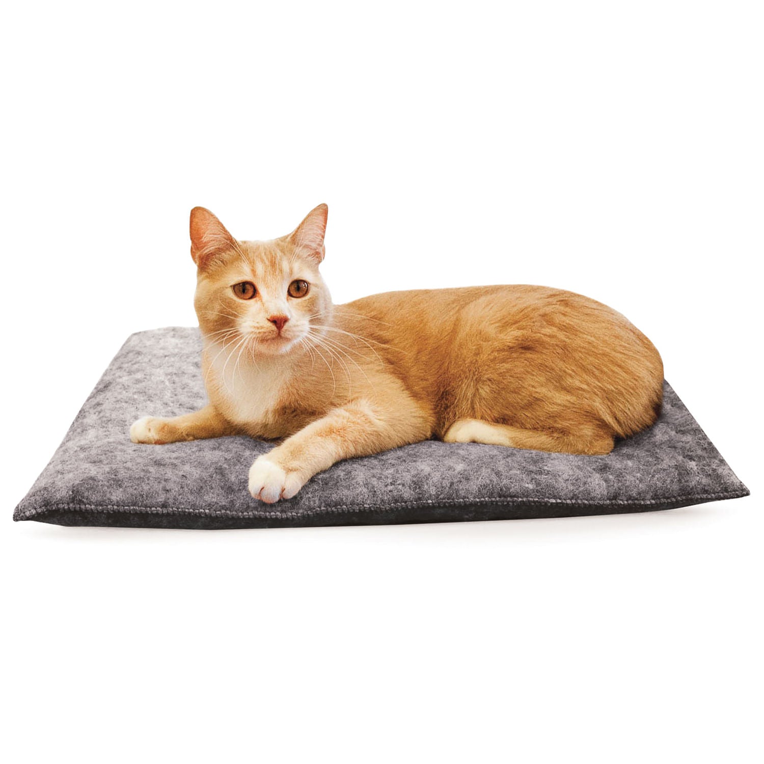 Amazing Kitty Pad 3-Pack - Soft & Comfortable Cat Bed for Indoor Cats - Perfect for Napping, Lounging & Relaxing at Home