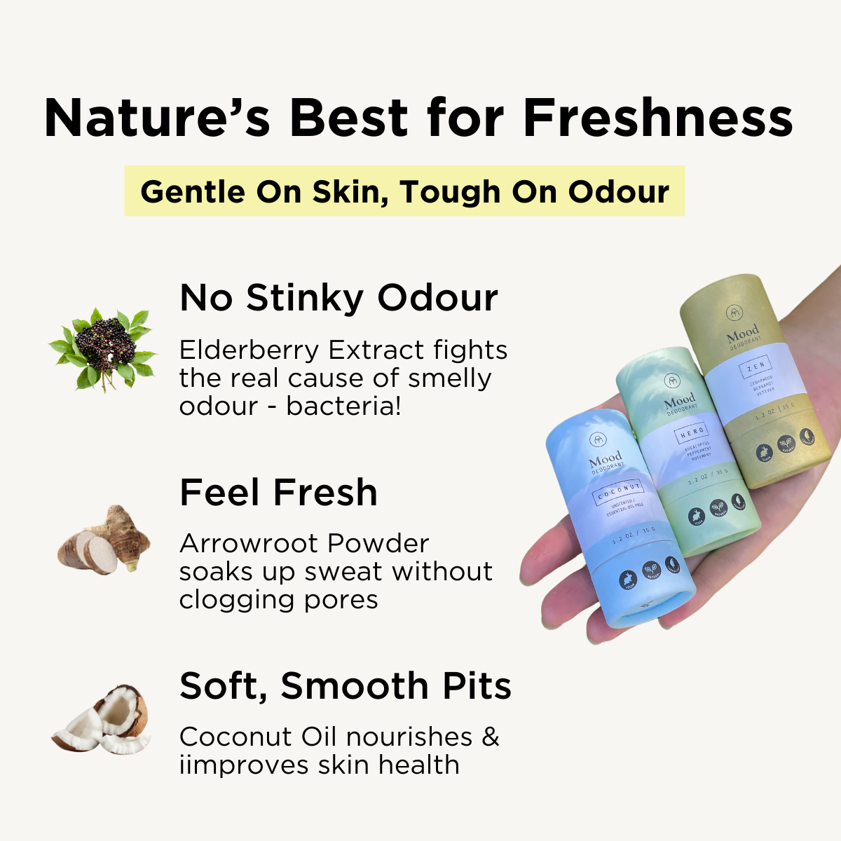 Mood Natural Deodorant - Vegan, Aluminum-Free & Cruelty-Free for Sensitive Skin | Fresh All-Day Protection for Workouts & Daily Use