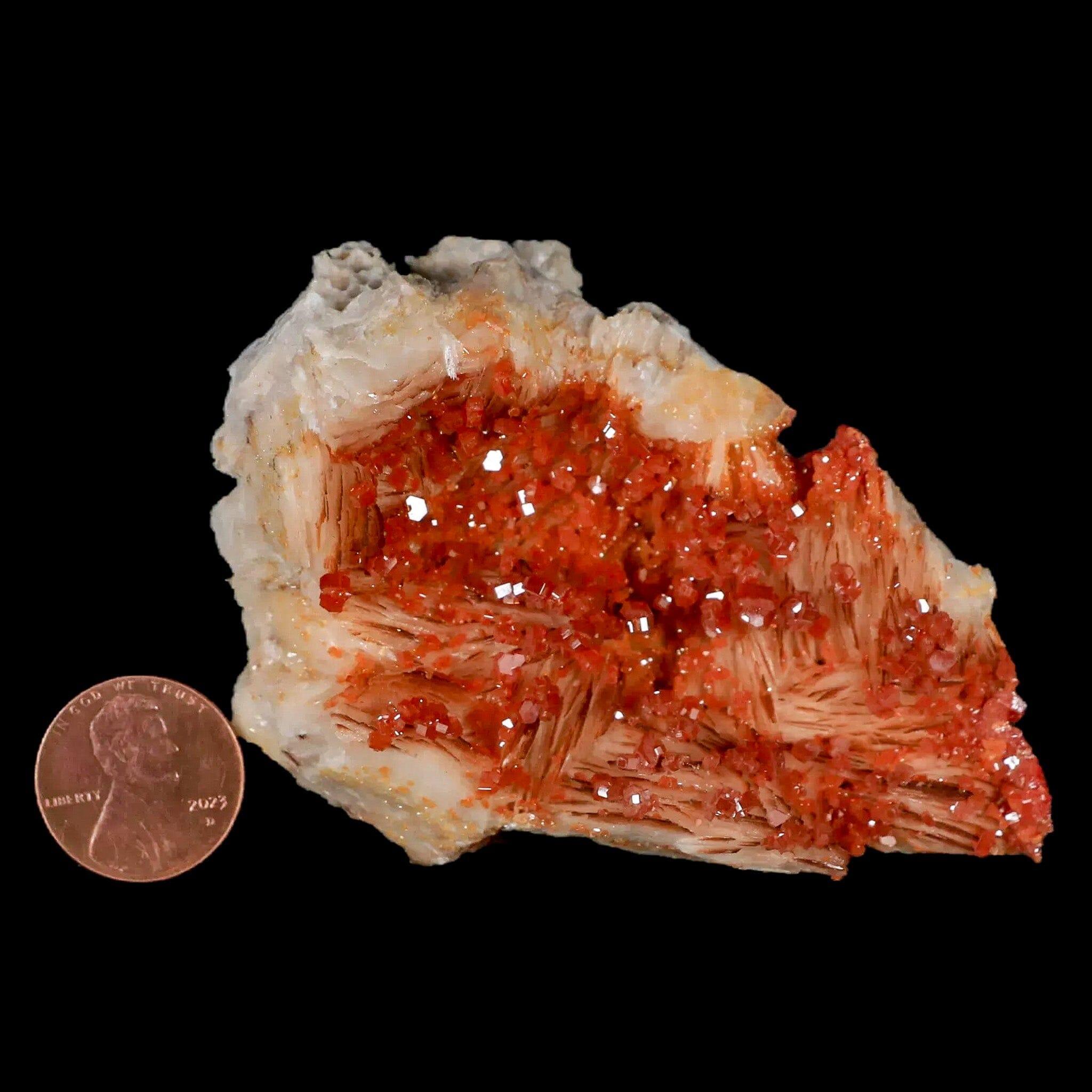 Sparkly Orange Vanadinite Crystals with White Barite Blades - 3.3
