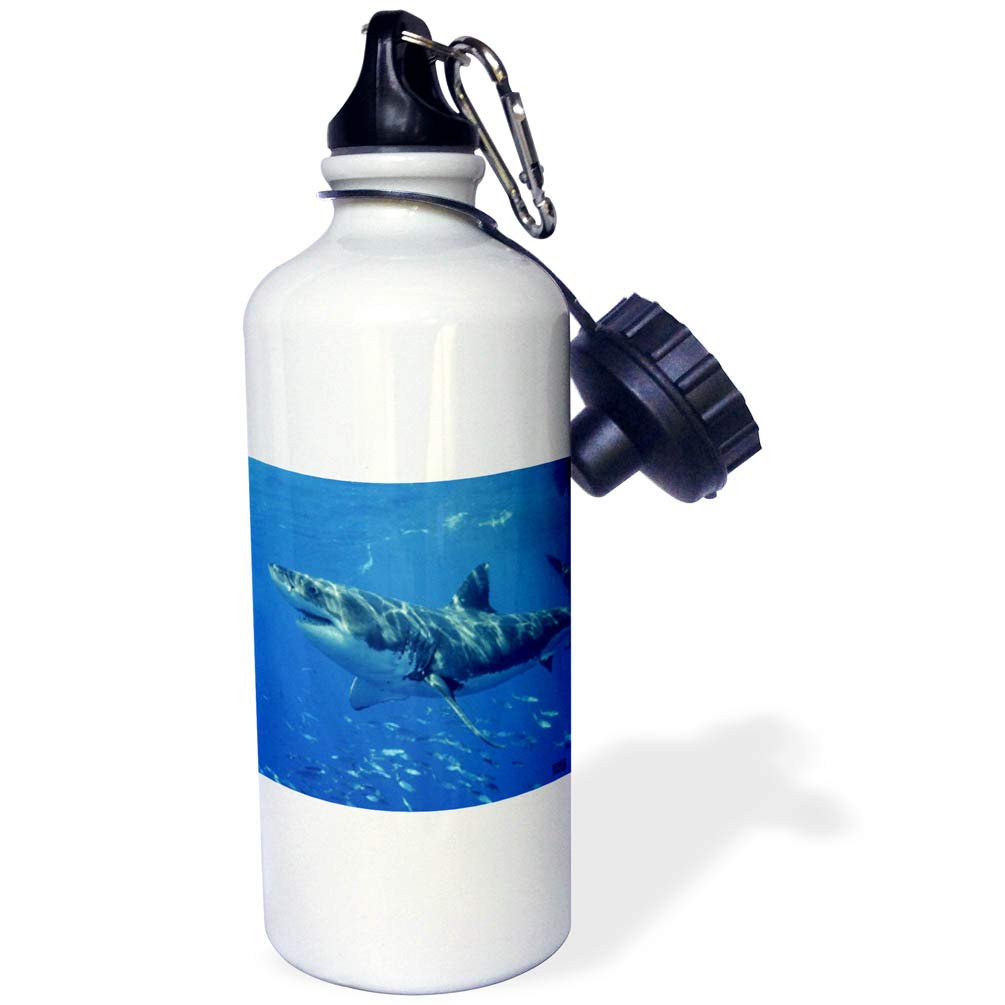 3D Rose Great White Shark Sports Water Bottle - 21 oz Insulated Stainless Steel Water Bottle for Gym, Hiking & Outdoor Activities - Leakproof & BPA Free (White)