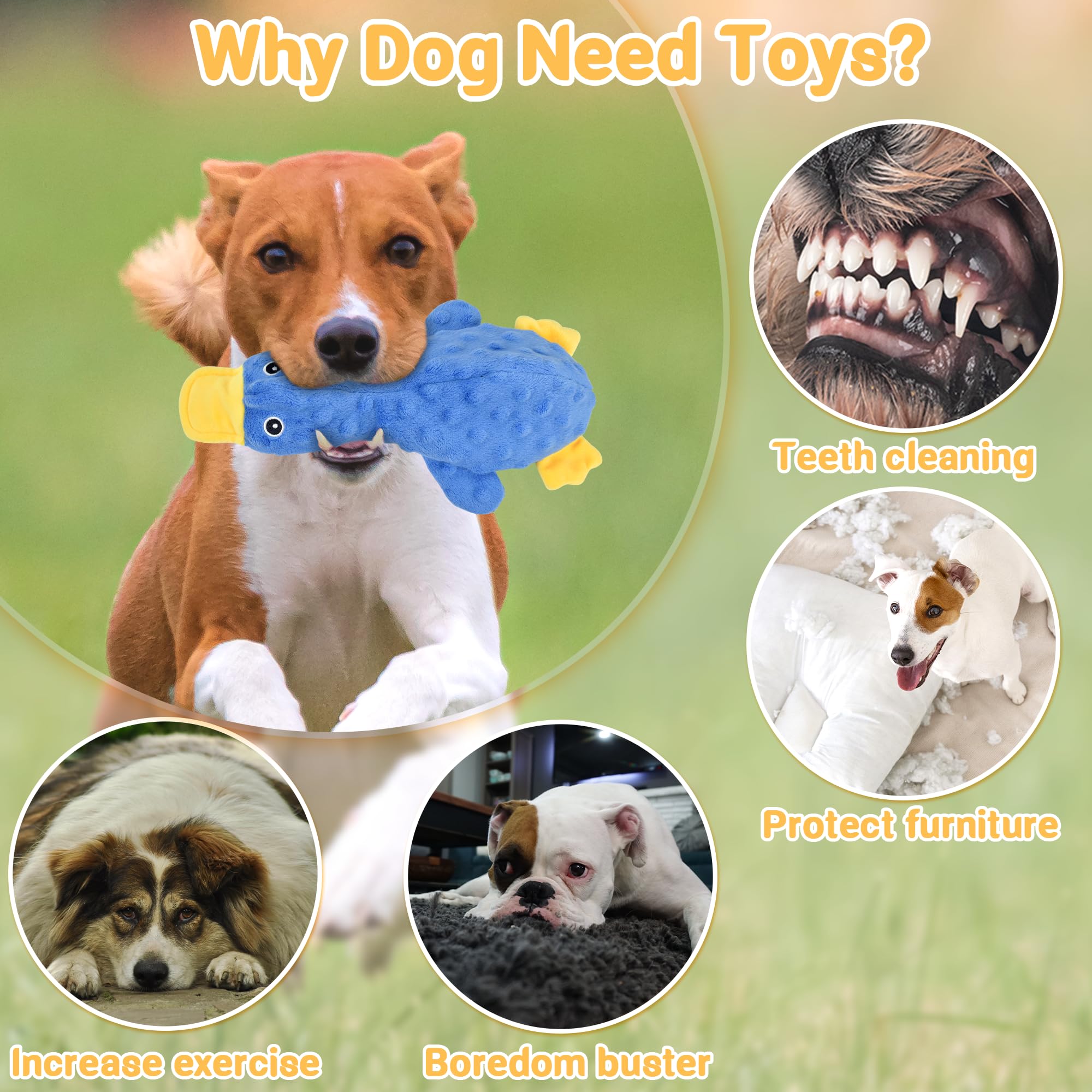 Durable No-Stuffing Dog Toys for Aggressive Chewers - Squeaky Chew Toys for Large, Medium & Small Dogs - 5-Pack Puppy Chew Toys for Indoor & Outdoor Play