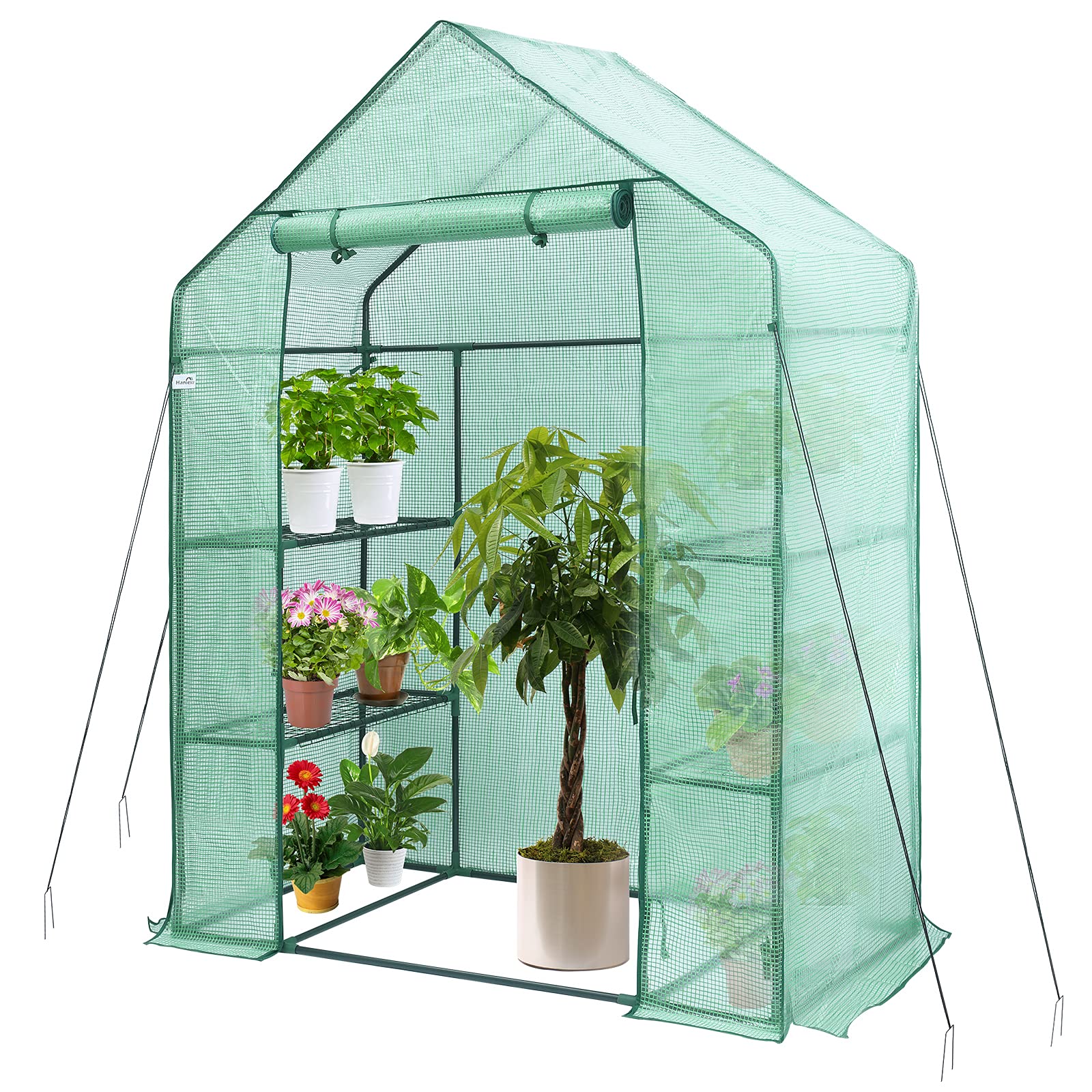 Hanience 3-Tier Walk-in Greenhouse with Anchors & Ropes - 4 Wired Shelves Indoor/Outdoor Plant Growing Tent for Garden, Patio, Backyard, Balcony - Easy Assembly Green PE Cover (Ideal for Seed Starting, Plant Protection & Year-Round Gardening)