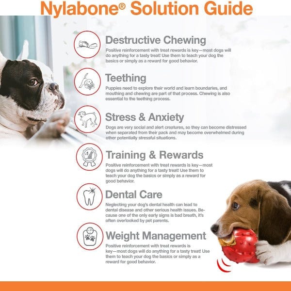 Nylabone Durachew Double Action Chew Toy for Dogs - Durable Puppy Chew Bone for Aggressive Chewers - Promotes Dental Health & Reduces Anxiety - Perfect for Teething, Boredom & Training