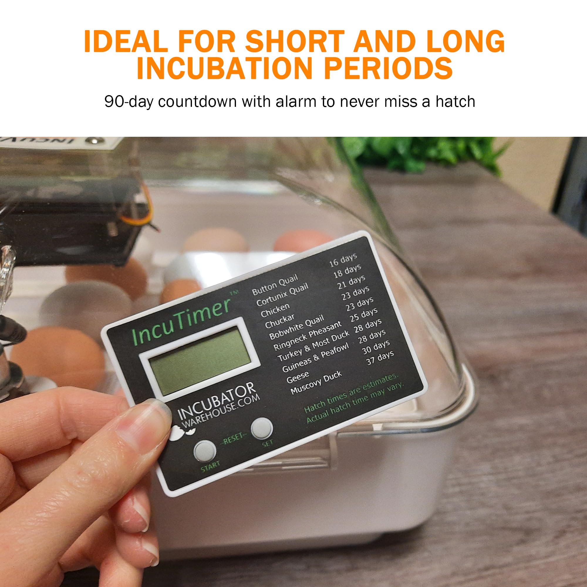 Best Egg Incubator Timer - IncuTimer with 90-Day Countdown & Easy Setup | Perfect for Poultry Hatching, Chicken Egg Incubation & Backyard Farming