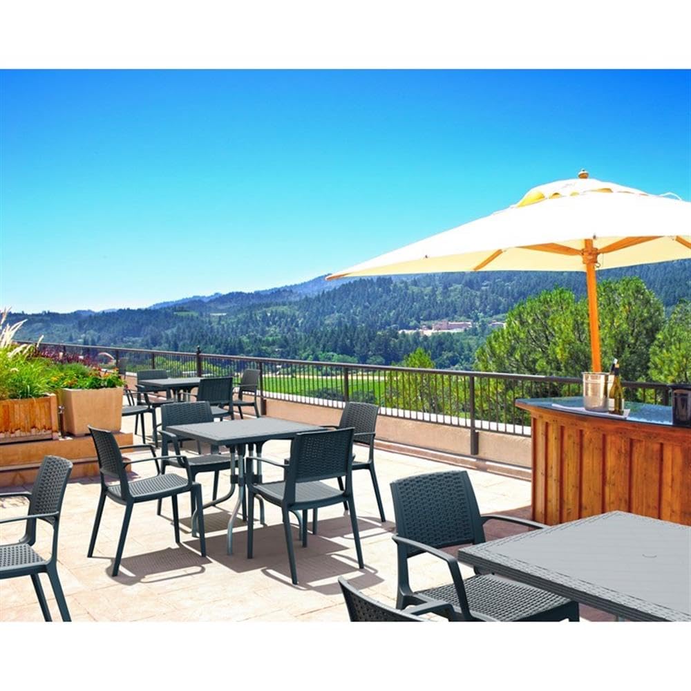 Dark Gray Compamia Capri Patio Dining Arm Chairs (Set of 2) - Weather-Resistant Outdoor Furniture for Garden, Poolside, and Backyard Relaxation