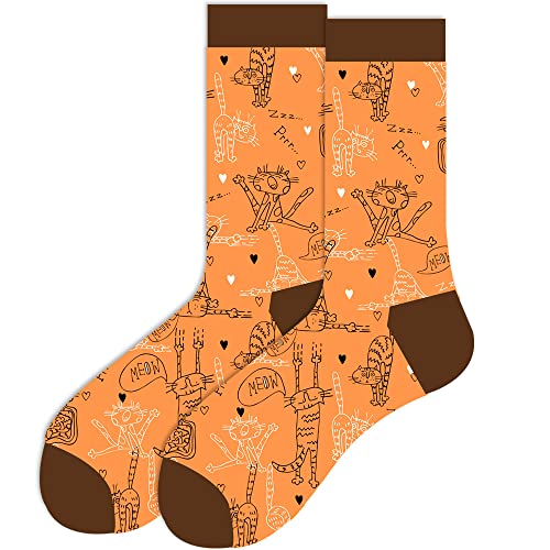Orange Cat