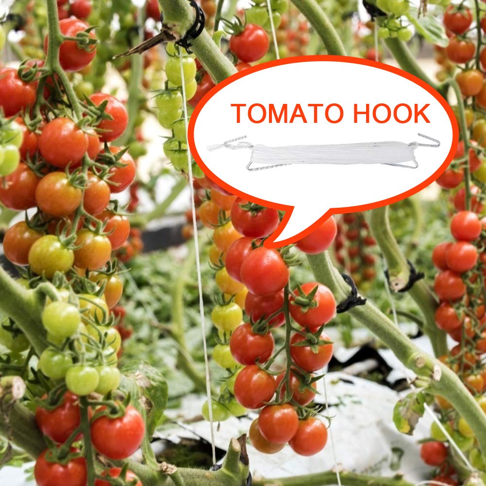 DAMEING 20Pcs Plant Climbing Hooks - Tomato Support J Hooks for Garden & Vine Plants
