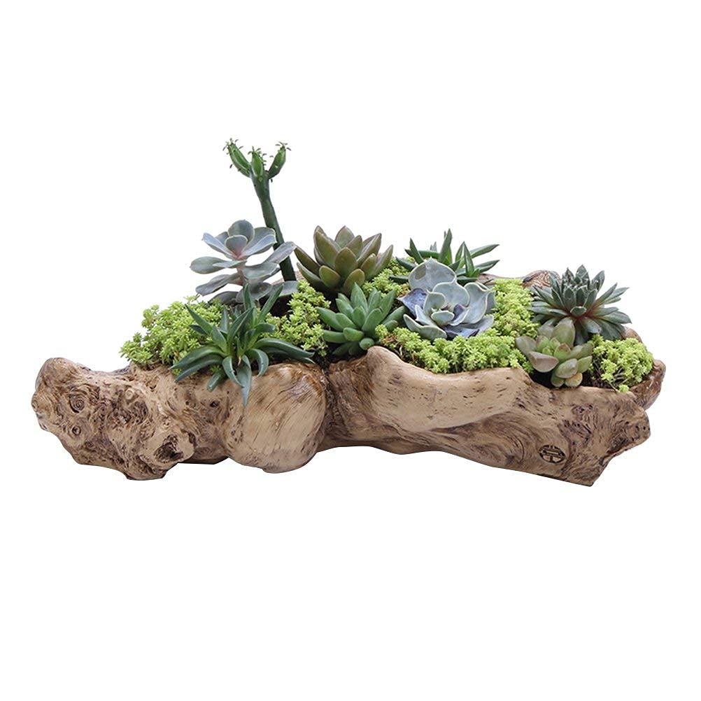 Realistic Simulation Tree Root Succulent Planter - Decorative Garden Flower Pot for Indoor/Outdoor Plants, DIY Home & Botanic Garden Decor | Perfect for Succulents, Cacti, Air Plants & Home Gardening