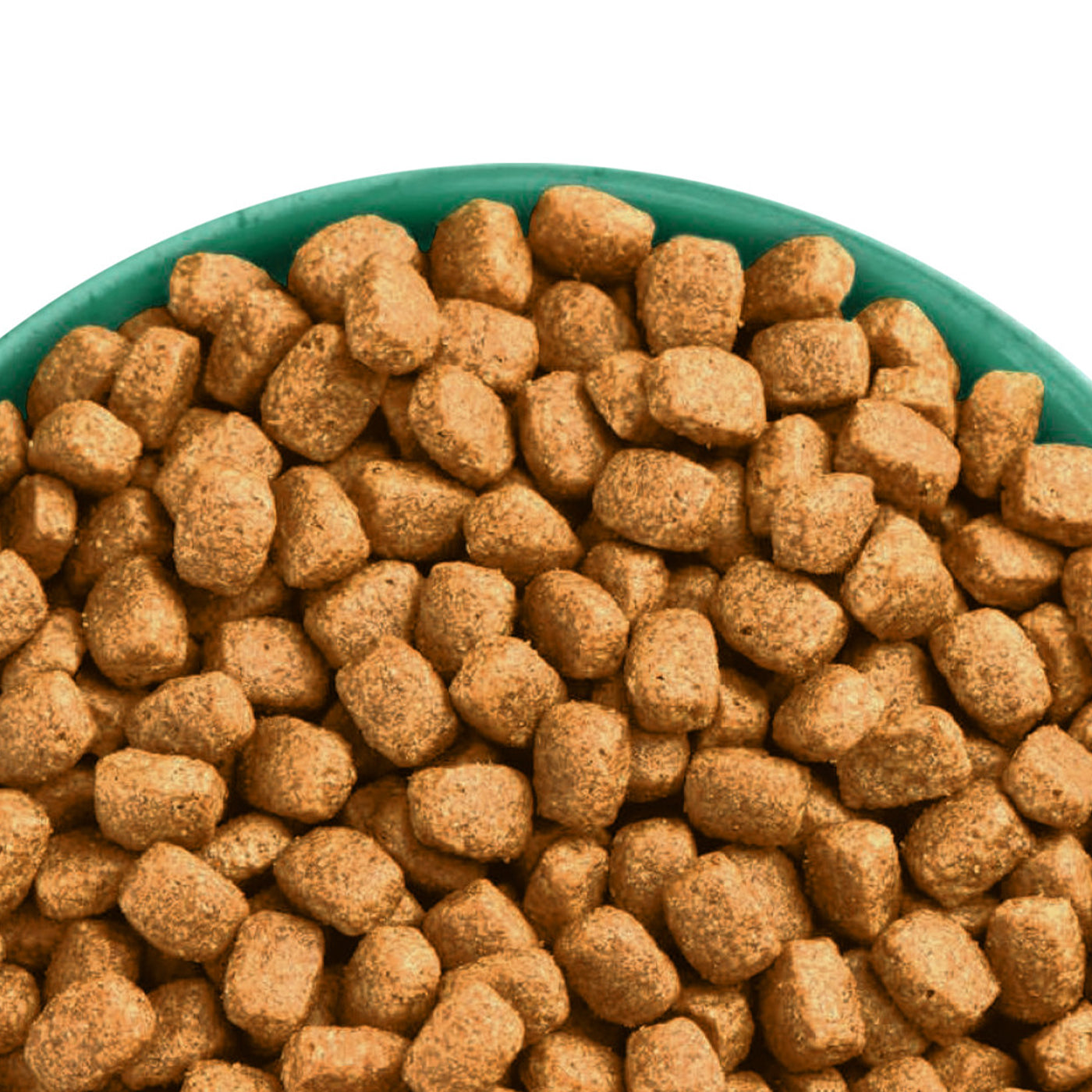 James Wellbeloved Turkey & Rice Adult Small Breed Dog Food - Grain-Free, Hypoallergenic Dry Kibble for Sensitive Stomachs - Perfect for Indoor & Active Small Dogs