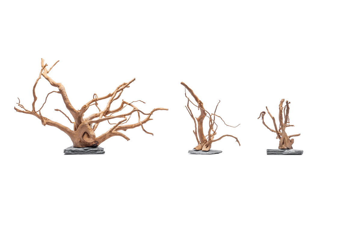 Natural Spider Wood on Slate Stone Aquarium Decor - Perfect for Fish Tanks, Terrariums & Reptile Habitats