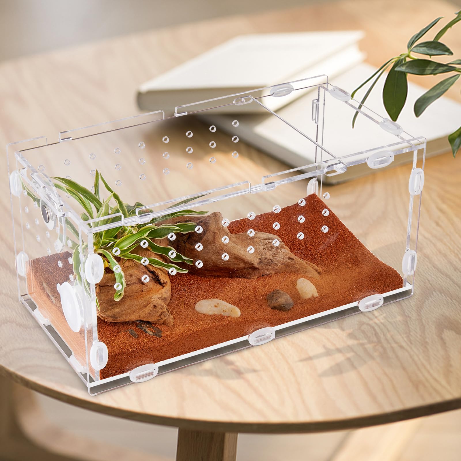Premium Acrylic Spider Terrarium 6x8x14 - Ideal Enclosure for Jumping Spiders, Tarantula Larvae & Insects - Perfect for Pet Arthropod Habitat, Breeding & Observation - Great for Home, Classroom or Office Display