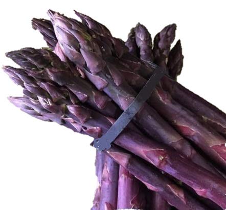Purple Passion Asparagus Plants - 100 Bare Root Crowns for Planting | Fresh Garden-Grown Asparagus Roots | Perfect for Home Gardens, Landscaping & Organic Farming