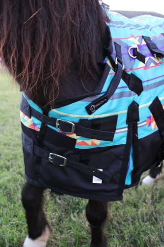 Turquoise Aztec