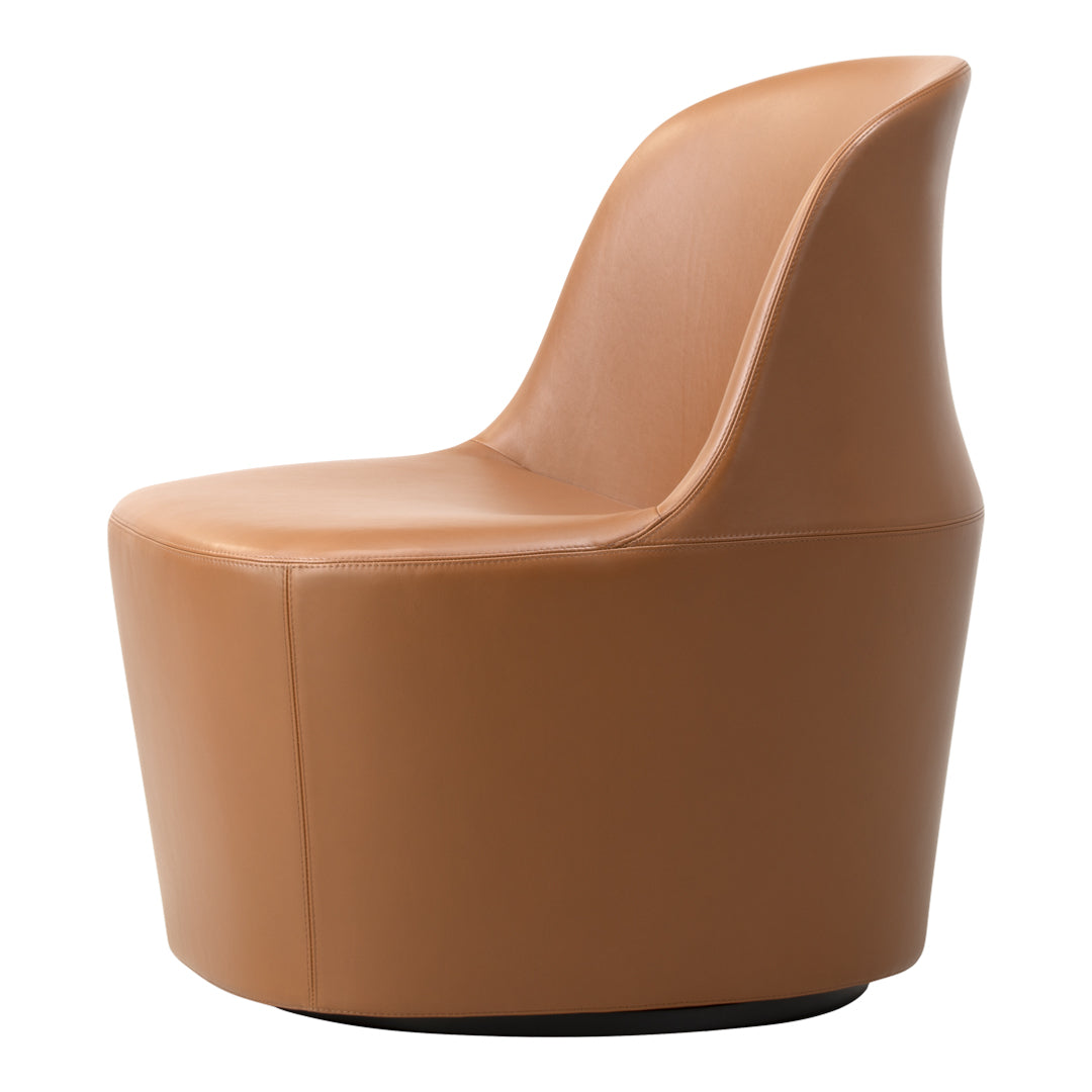 Comfortable Gomo Lounge Chair for Living Room - Modern Accent Chair with Soft Cushions, Perfect for Reading Nook, Bedroom or Patio Relaxation