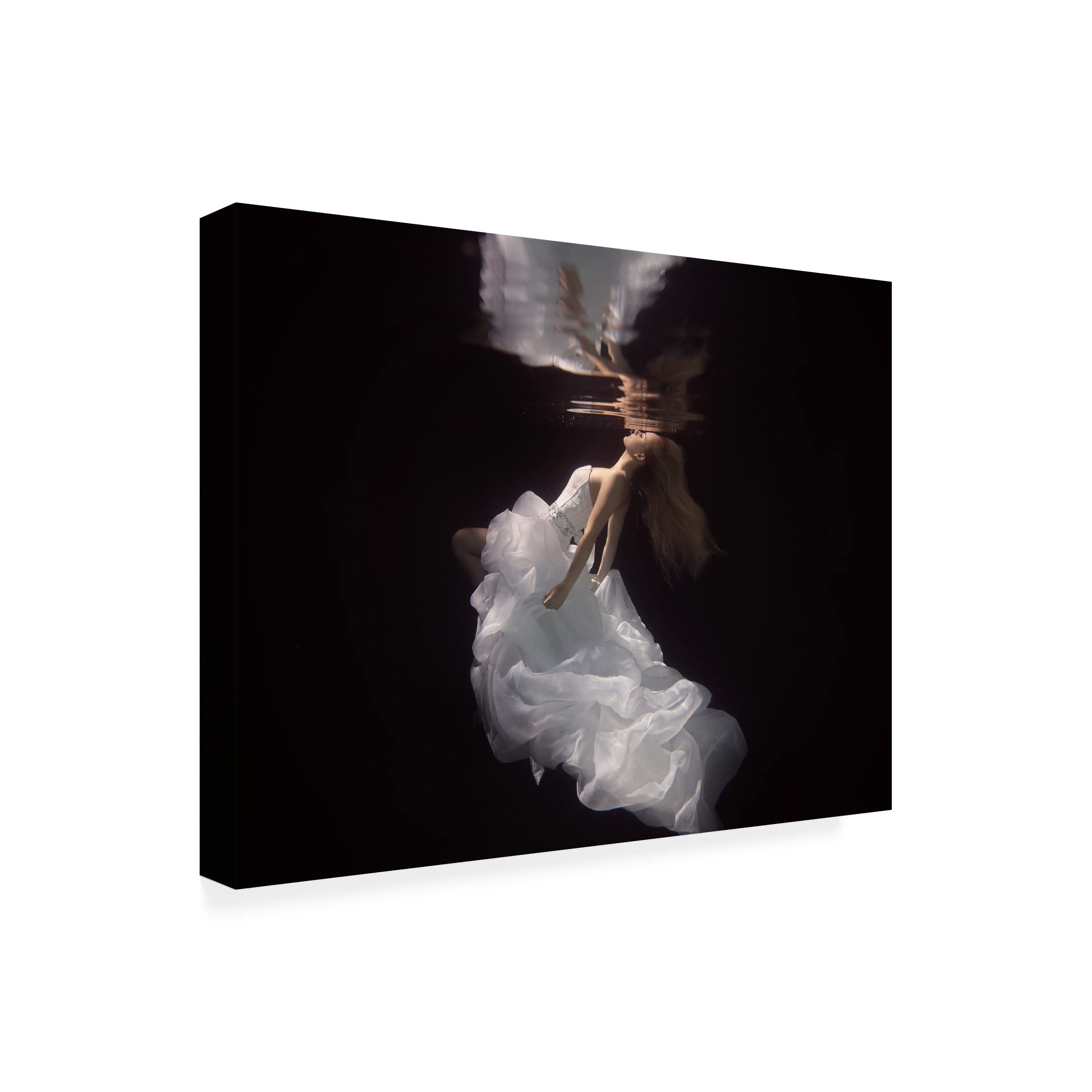 Trademark Fine Art 'The Bride' Canvas Wall Art Print by Gabriela Slegrova - Perfect for Living Room, Bedroom & Office Decor