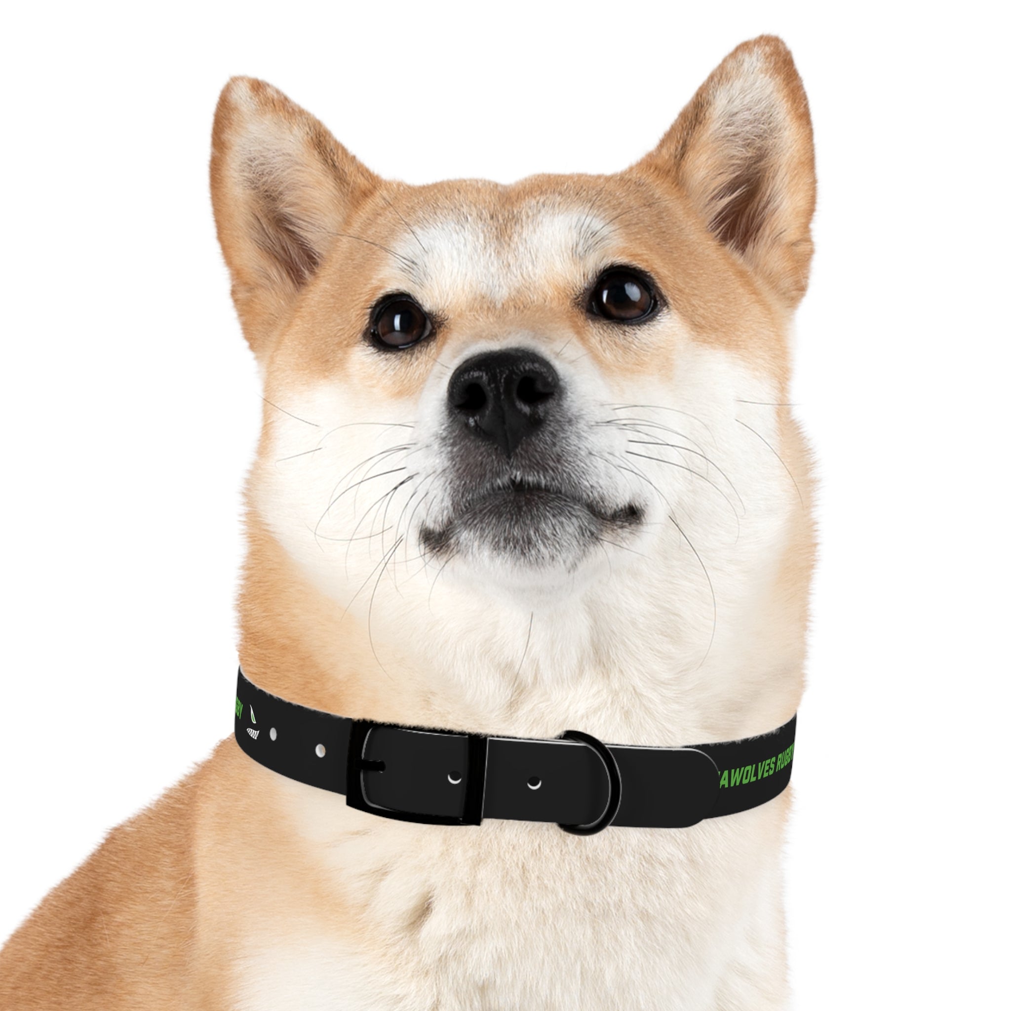 Premium Seawolves Dog Collar - Durable Nylon Pet Collar with Adjustable Buckle for Small Medium Large Dogs - Perfect for Walking, Training & Outdoor Adventures