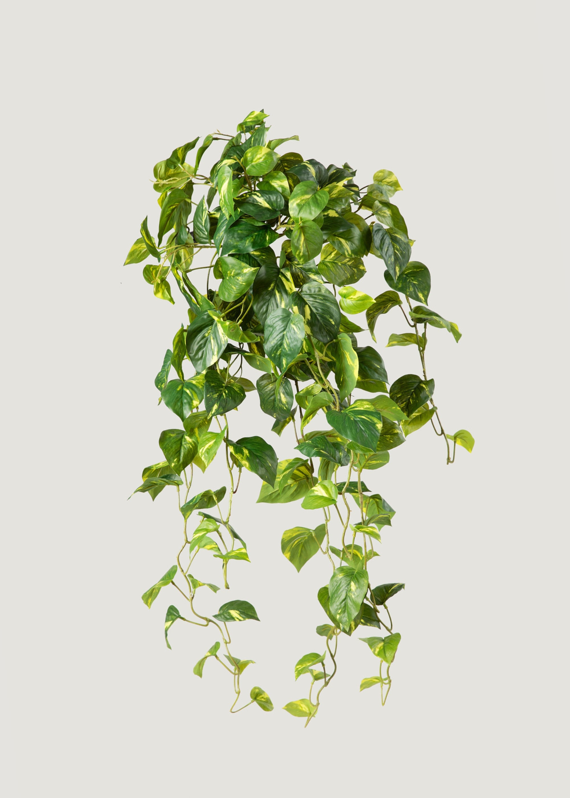 Real Touch Pothos Artificial Hanging Plant - 36