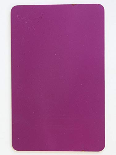 Original Tesla Purple License Plate Frame - Durable Car Accessory for Tesla Models 3, S, X, Y - Perfect for Customization & Personalization (Road Trips, Car Shows, Gifts)