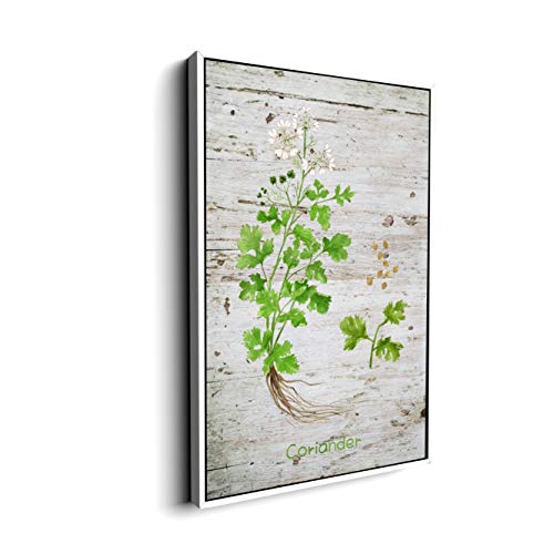 Plant-03