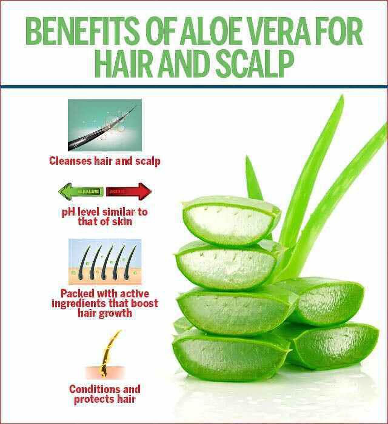 Elina Pure Multipurpose Red Rose Aloe Vera Gel - 500gm | Natural Organic Aloe Vera Gel for Face, Skin & Hair Care | Hydrating Moisturizer for Hair Growth & Soft Skin | Perfect for Daily Skincare, Sunburn Relief & Hair Treatment