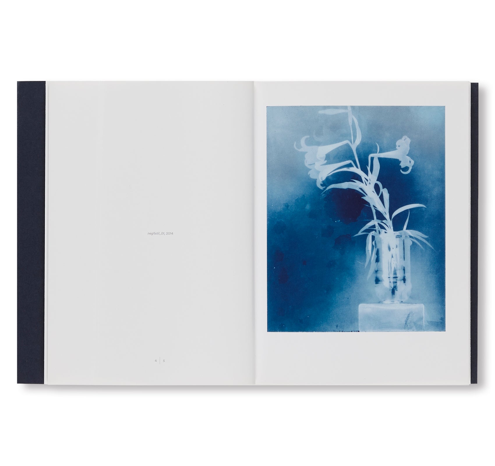 NATURE MORTE by Thomas Ruff - Fine Art Photography Prints for Home & Office Decor | Modern Wall Art for Living Rooms, Galleries, and Creative Spaces