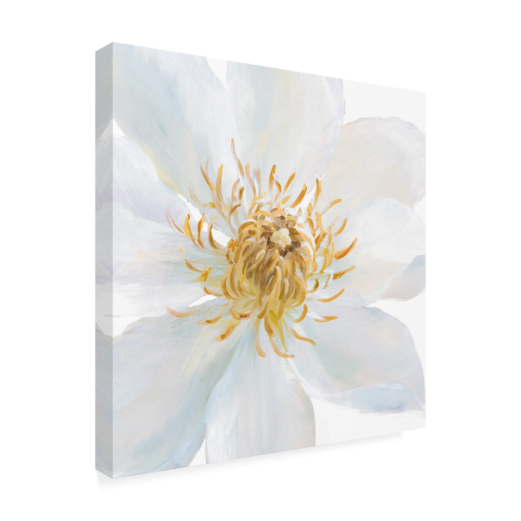 Danhui NAI Contemporary Clematis Gray Art Print - 18x18 Inch Framed Wall Decor for Living Room, Bedroom & Office | Trademark Fine Art Collection