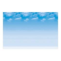 Fadeless Bulletin Board Paper Roll - 48