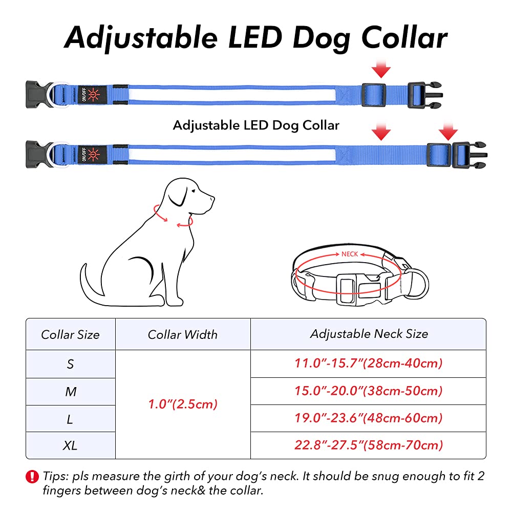 BSEEN Rechargeable LED Dog Collar - Waterproof Reflective Glow in The Dark Collar for Small Dogs, Night Safety Walking Gear with Bright Royal Blue Light - Perfect for Evening Walks, Jogging & Outdoor Adventures
