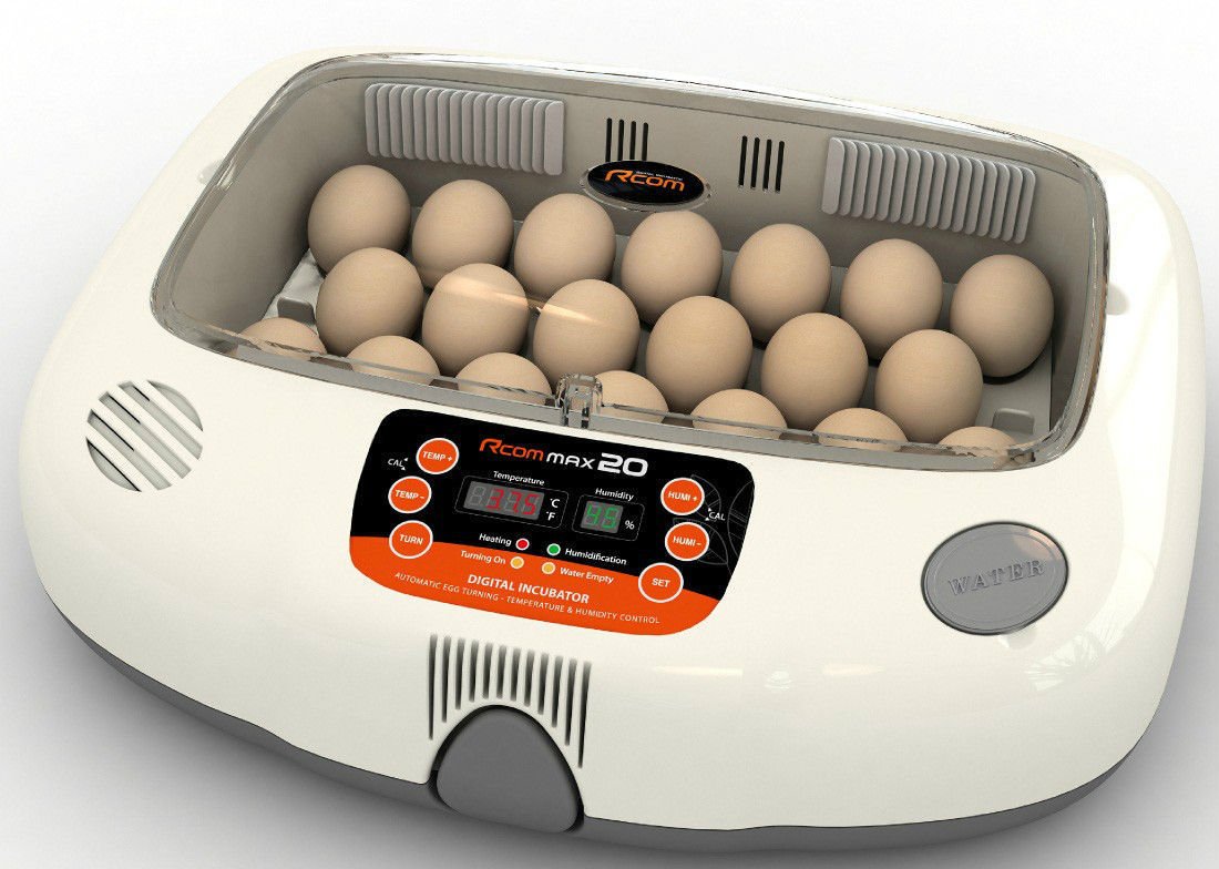 Universal Egg Tray for RCOM Max Pro & USB 20 Incubators - Durable Egg Holder for Poultry, Quail & Chicken Eggs - Perfect for Hatching, Breeding & Farm Use