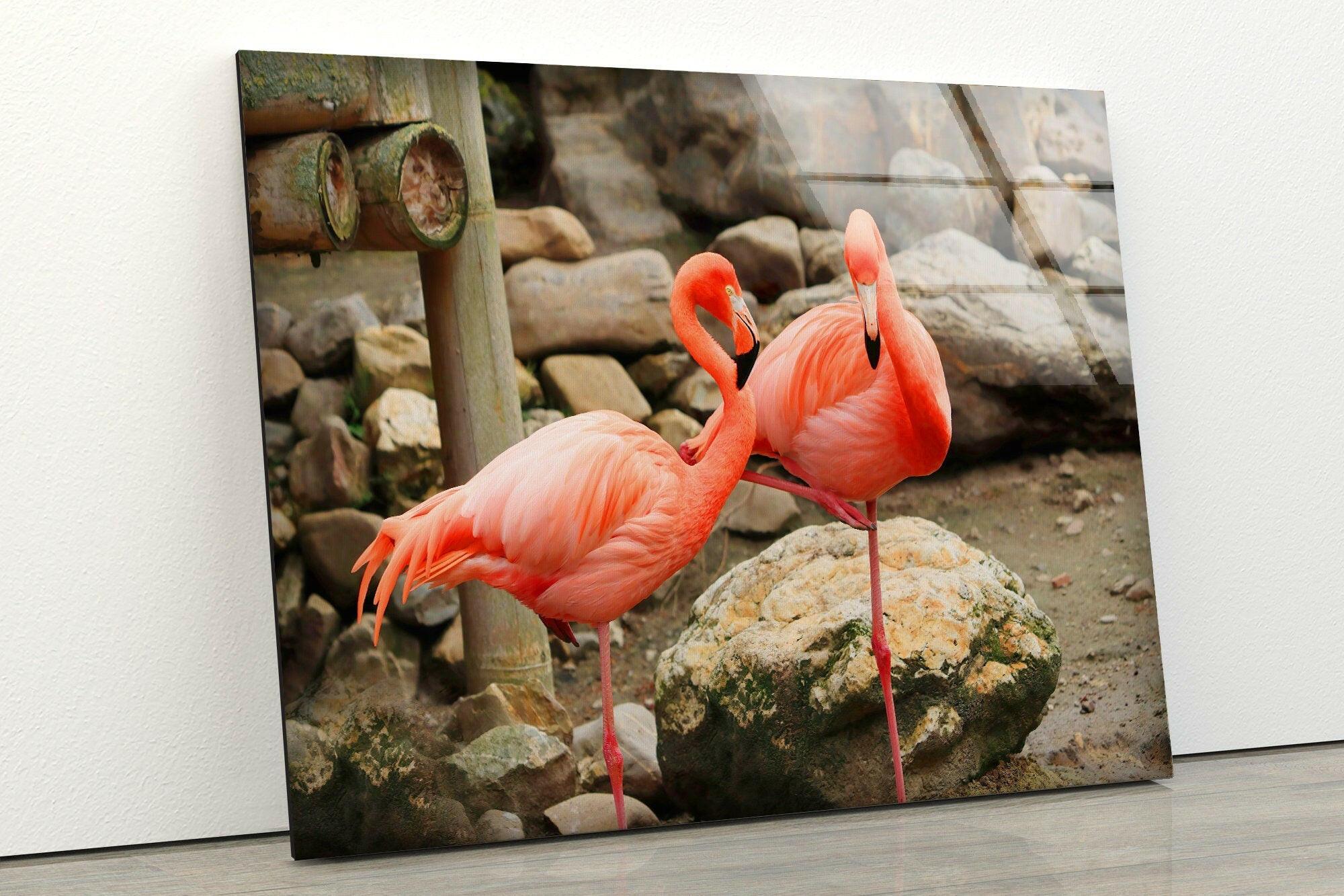 American Flamingo Glass Wall Art - Handmade Tropical Decor for Living Room, Bedroom & Office - Perfect for Coastal, Boho & Modern Home Decor