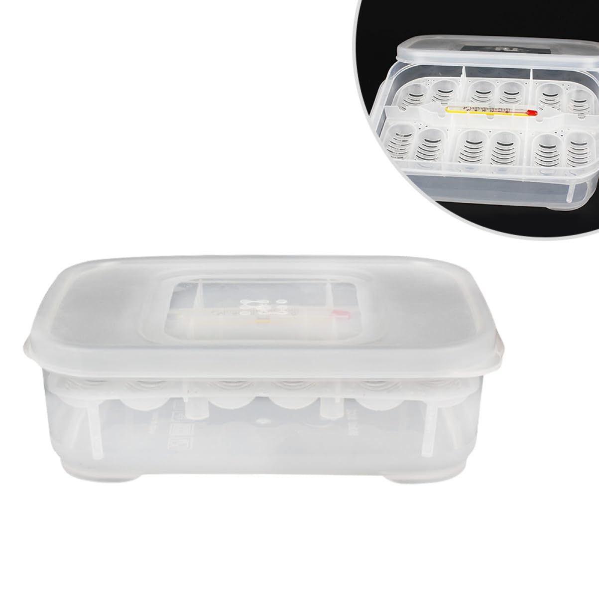 Angoily 3-Piece Reptile Egg Incubation Box Set - Observation Container for Snake & Lizard Eggs (Holds 12 Eggs) - Easy to Use Breeding Habitat for Pet Reptiles, Classroom Science Projects & Wildlife Observation